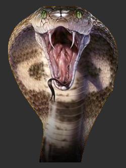 världens giftigaste orm